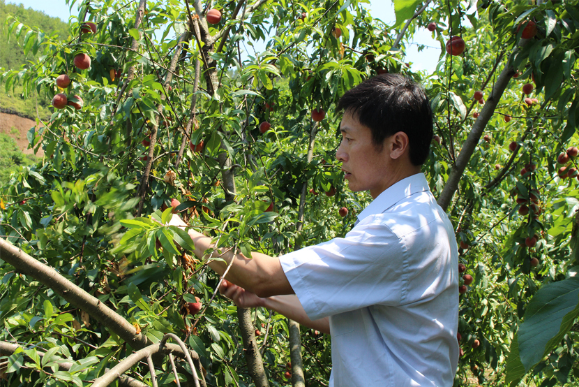 1590132744288837.jpg 444.jpg