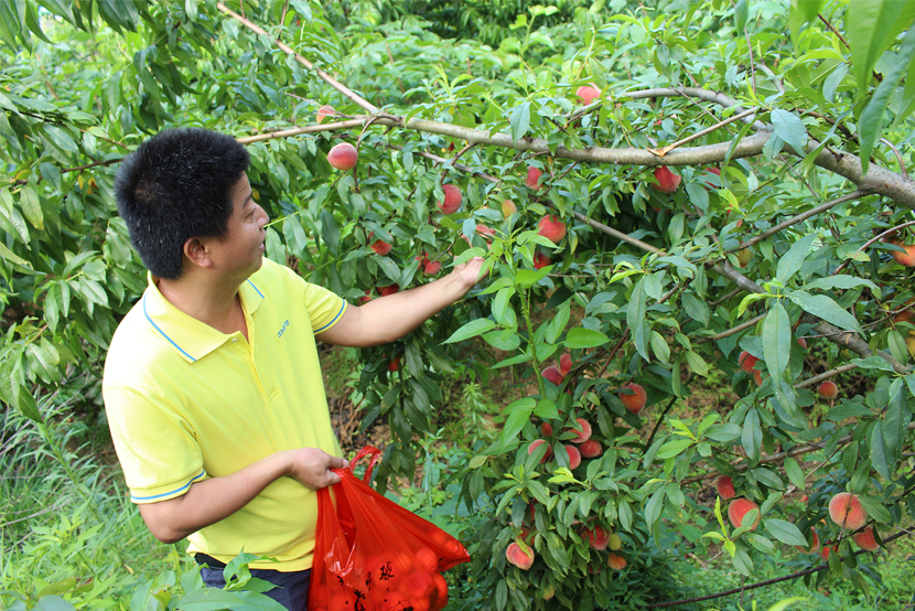 1590132859692931.jpg 666.jpg