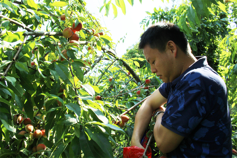 1590132984284158.jpg 888.jpg