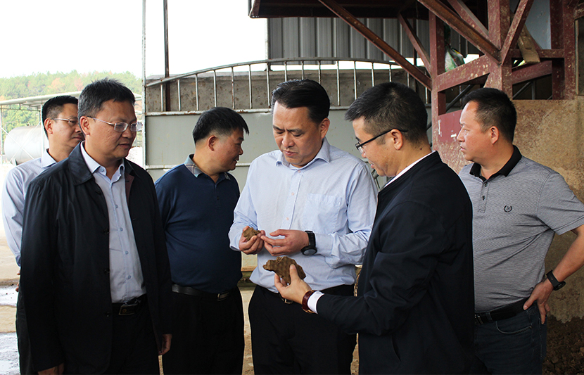 1634883065712447.jpg 4.jpg