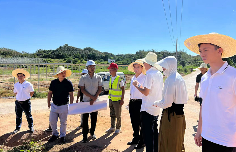 1660544817488798.jpg 3.jpg